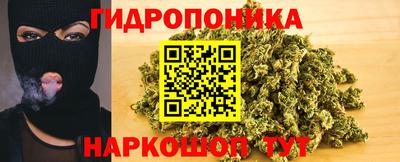 гидра Берёзовский