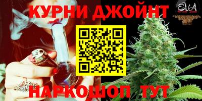 гидра Берёзовский