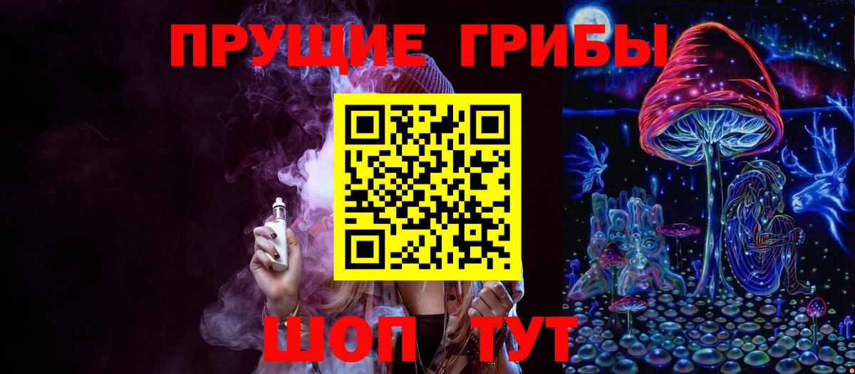Псилоцибиновые грибы Psilocybe Ивантеевка